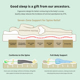 THroyal luxury Neck Orthopedic natural latex Pillow - 2-Level Height